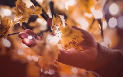 Leadership with a light-touch